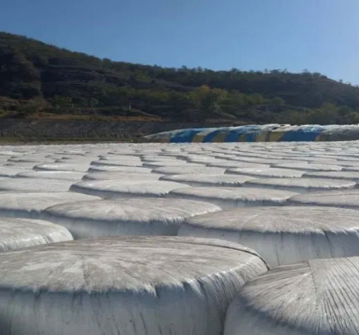 转贷续保顺理成章 各方加力一气呵成——甘肃金控庆阳担保公司聚焦临期业务处理